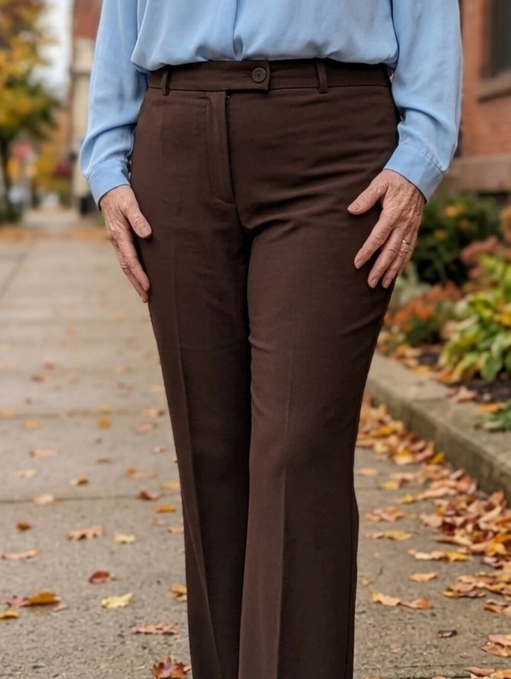 Zac & Rachel Chocolate Brown Tall Dress Pants - Size 14 | Professional Career